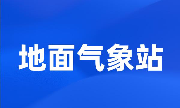 地面气象站