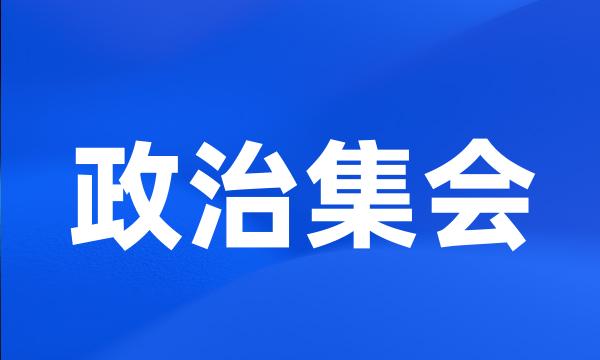 政治集会