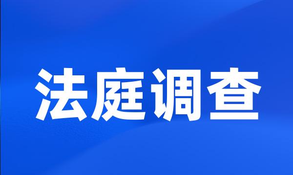 法庭调查