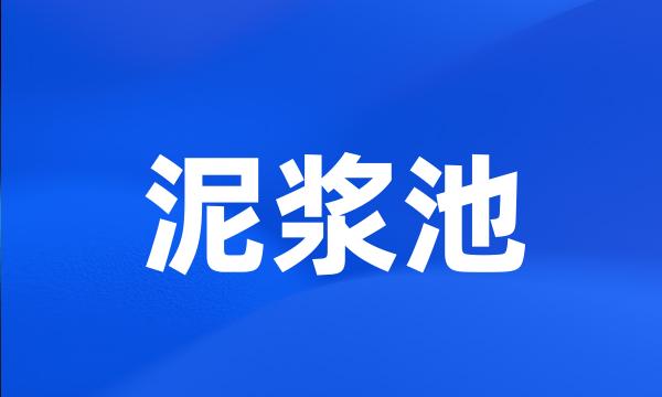 泥浆池