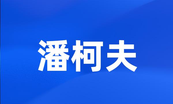 潘柯夫