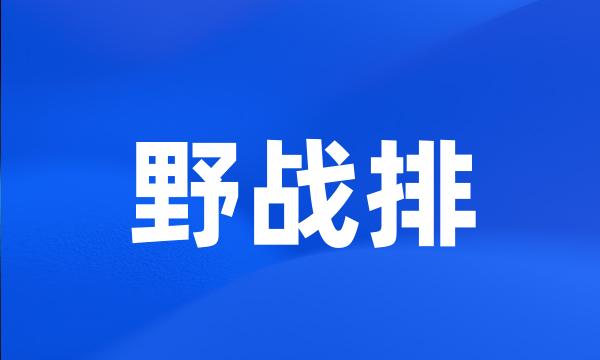 野战排