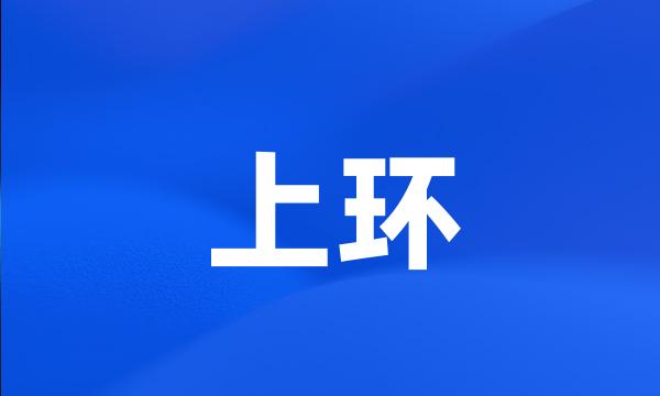 上环