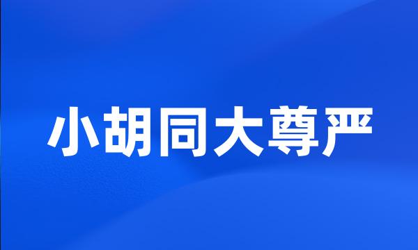 小胡同大尊严