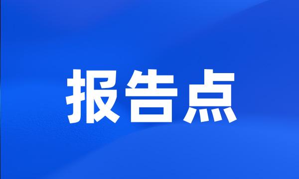 报告点