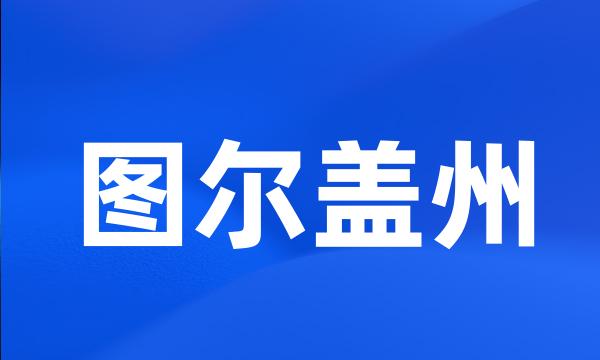 图尔盖州