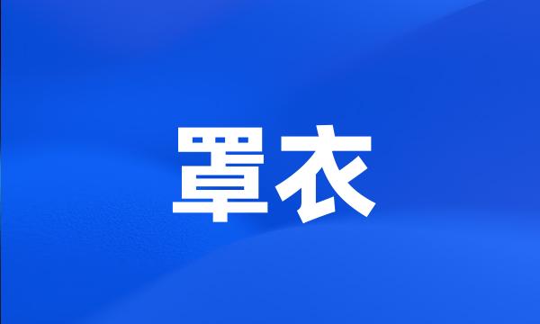 罩衣