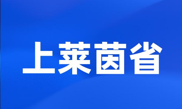 上莱茵省