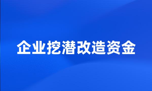 企业挖潜改造资金