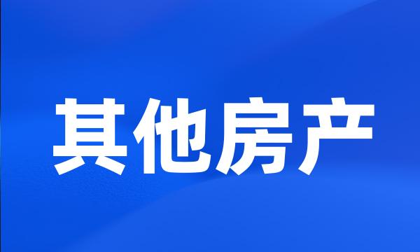 其他房产