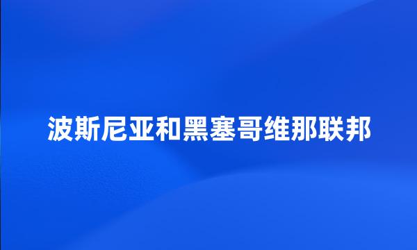 波斯尼亚和黑塞哥维那联邦