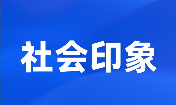 社会印象