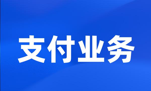 支付业务