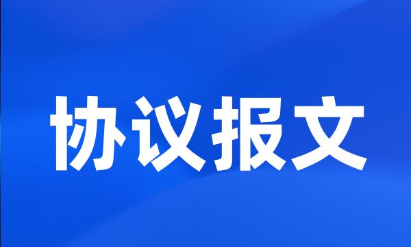 协议报文