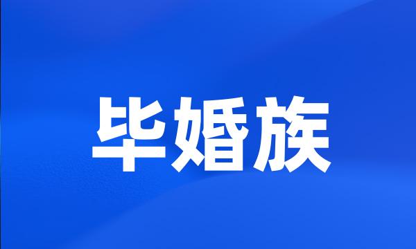 毕婚族