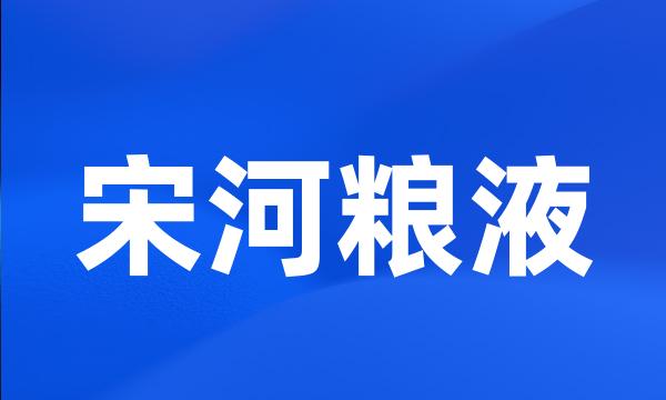 宋河粮液