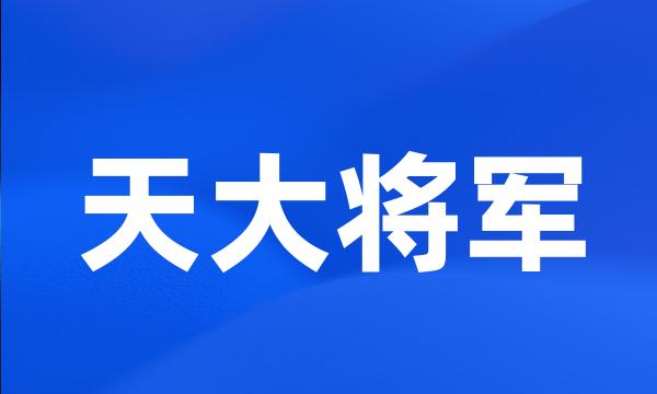 天大将军