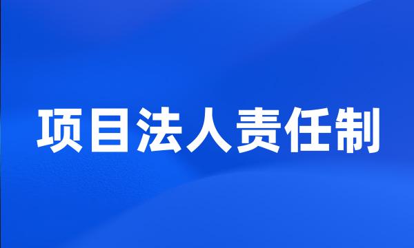 项目法人责任制