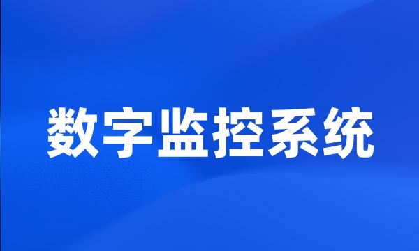 数字监控系统