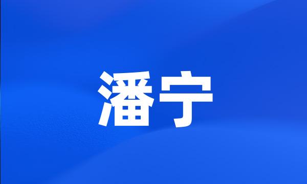 潘宁