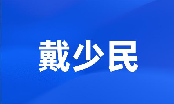 戴少民