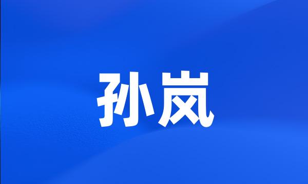 孙岚