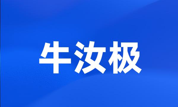 牛汝极