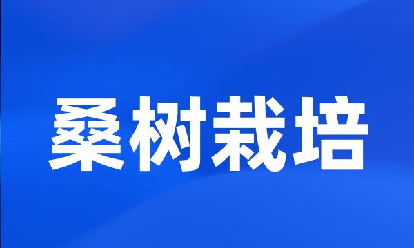 桑树栽培