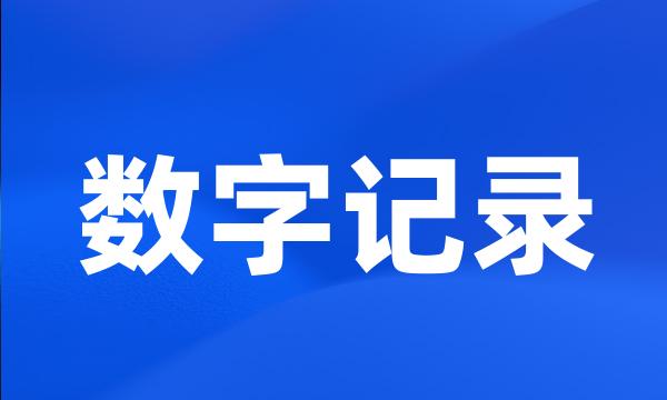 数字记录