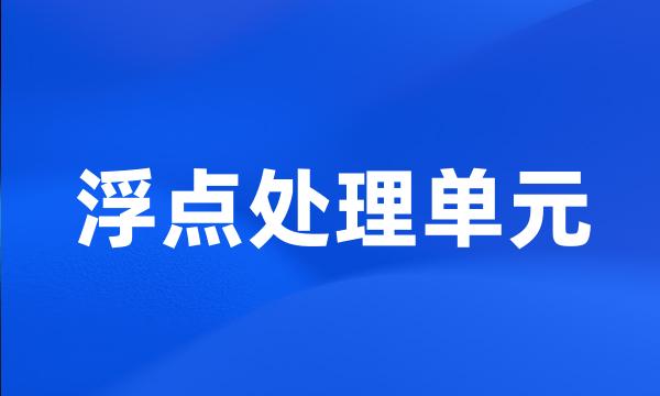 浮点处理单元