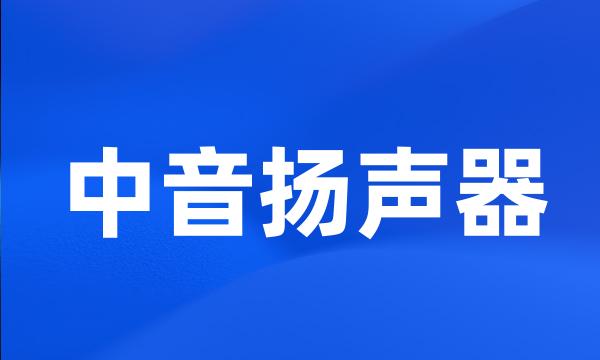 中音扬声器