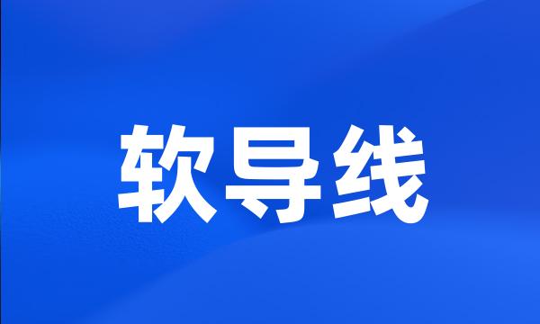 软导线