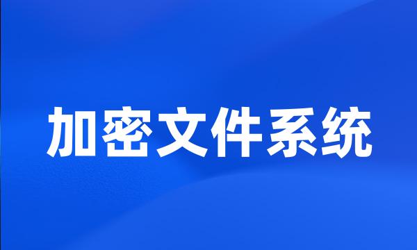 加密文件系统