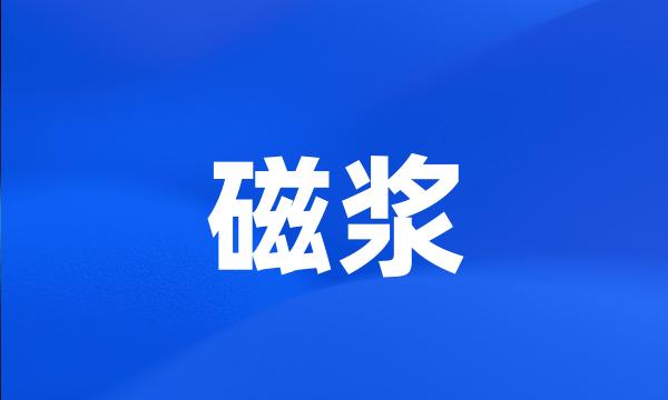 磁浆