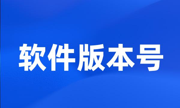 软件版本号