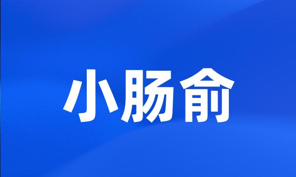 小肠俞