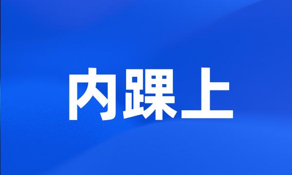 内踝上