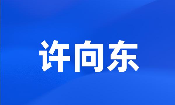 许向东