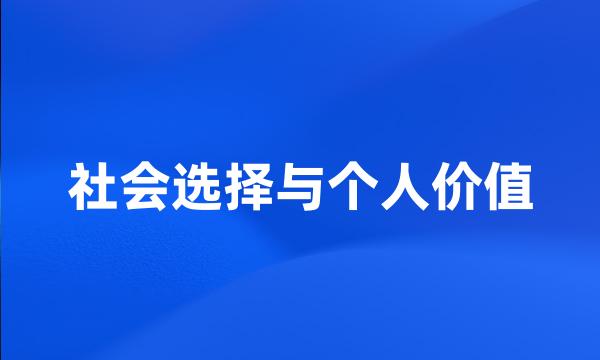 社会选择与个人价值