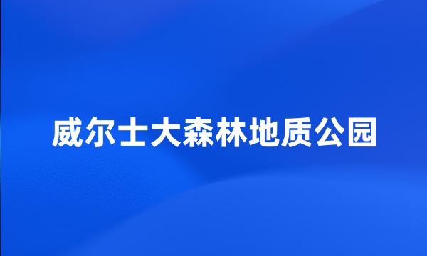 威尔士大森林地质公园