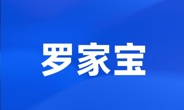 罗家宝