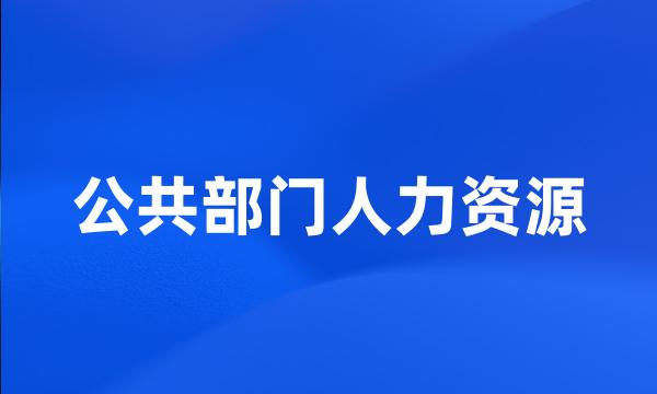 公共部门人力资源