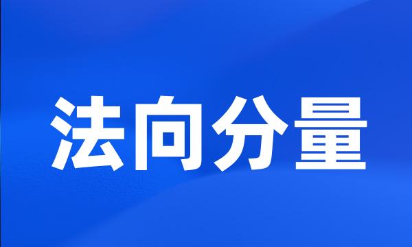 法向分量