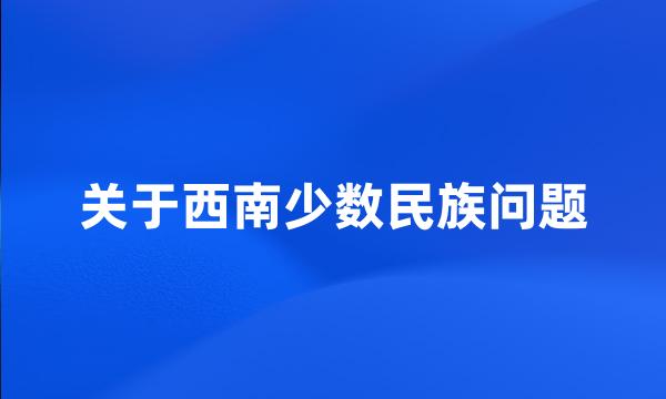 关于西南少数民族问题