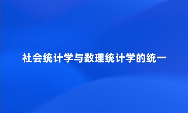 社会统计学与数理统计学的统一