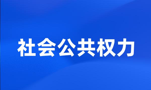 社会公共权力