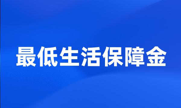 最低生活保障金