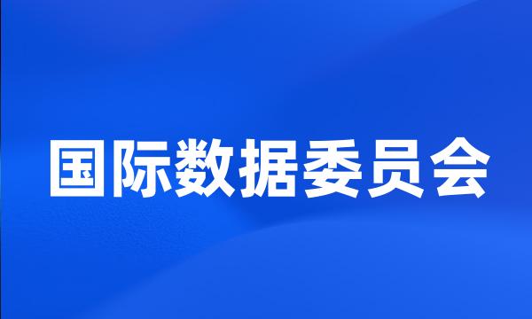 国际数据委员会