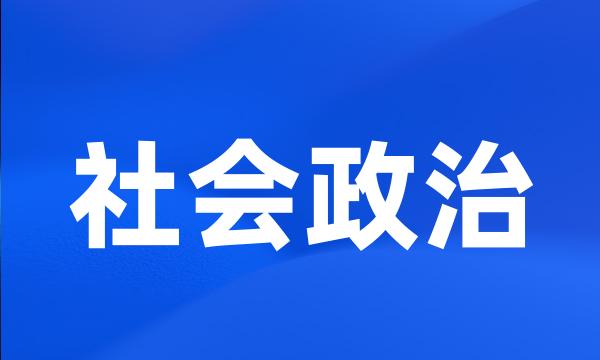 社会政治