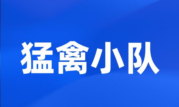 猛禽小队